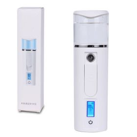 New Upgrade Mini Portable Nano Sprayer USB Facial Body Atomizer Steamer Moisturizing Skin Care Handheld Spray Skin Moisture Test (Color: White)